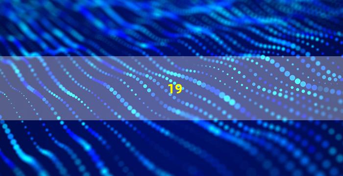 19